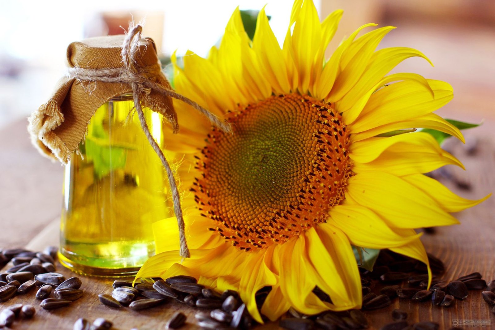 Sunflower Oil (Refined)